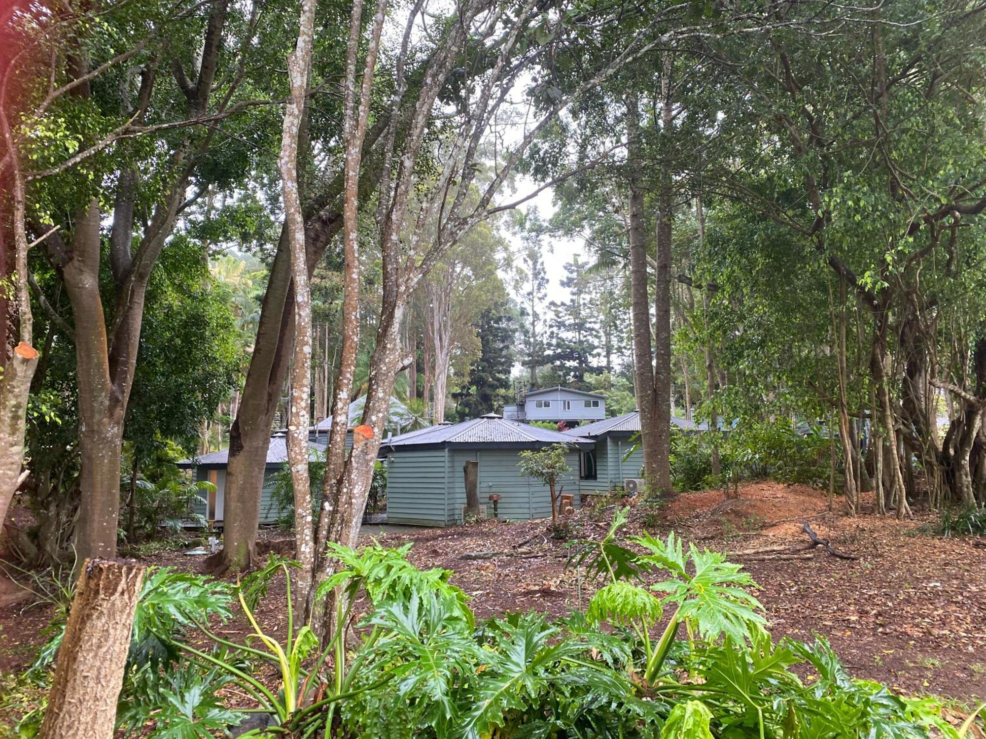 Koala Cabins Sunshine Coast Mapleton Exterior photo